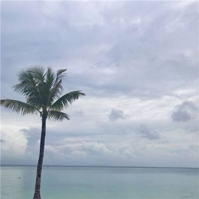 江南足球app下载